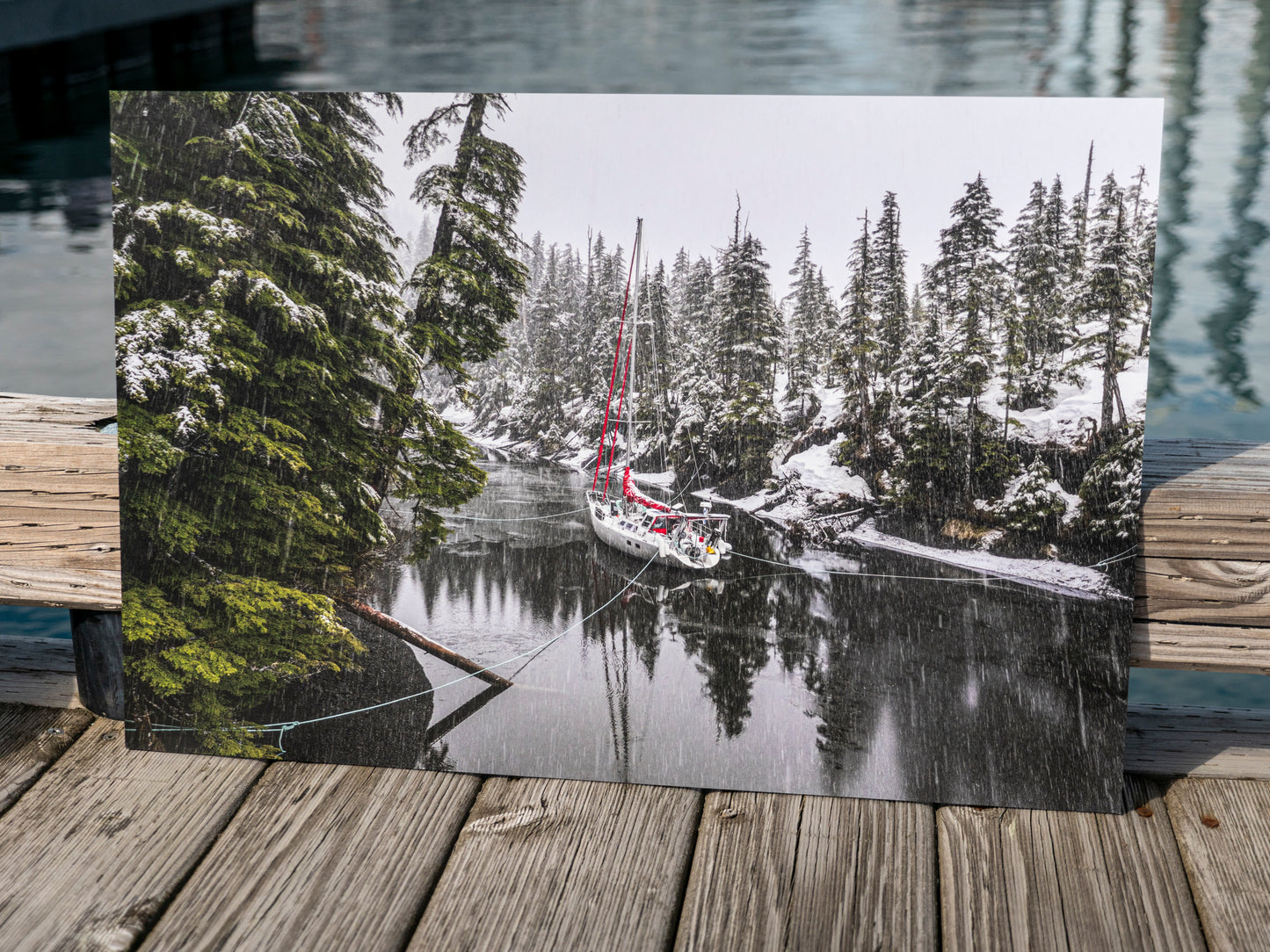 Escaping the winter storm. Prince William Sound, Alaska, USA.