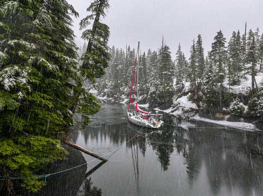 Escaping the winter storm. Prince William Sound, Alaska, USA.