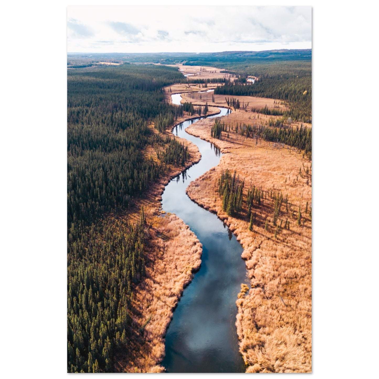 b322f5f4-f17b-4881-81ba-f2a1c4e3a655